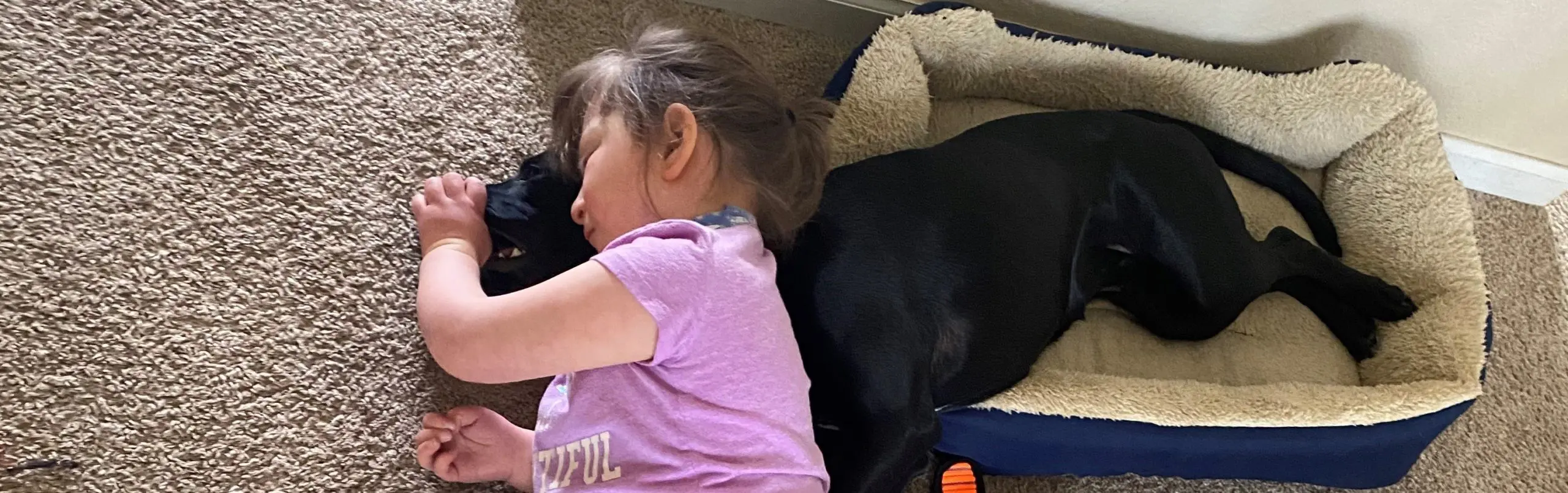 Default image for pages