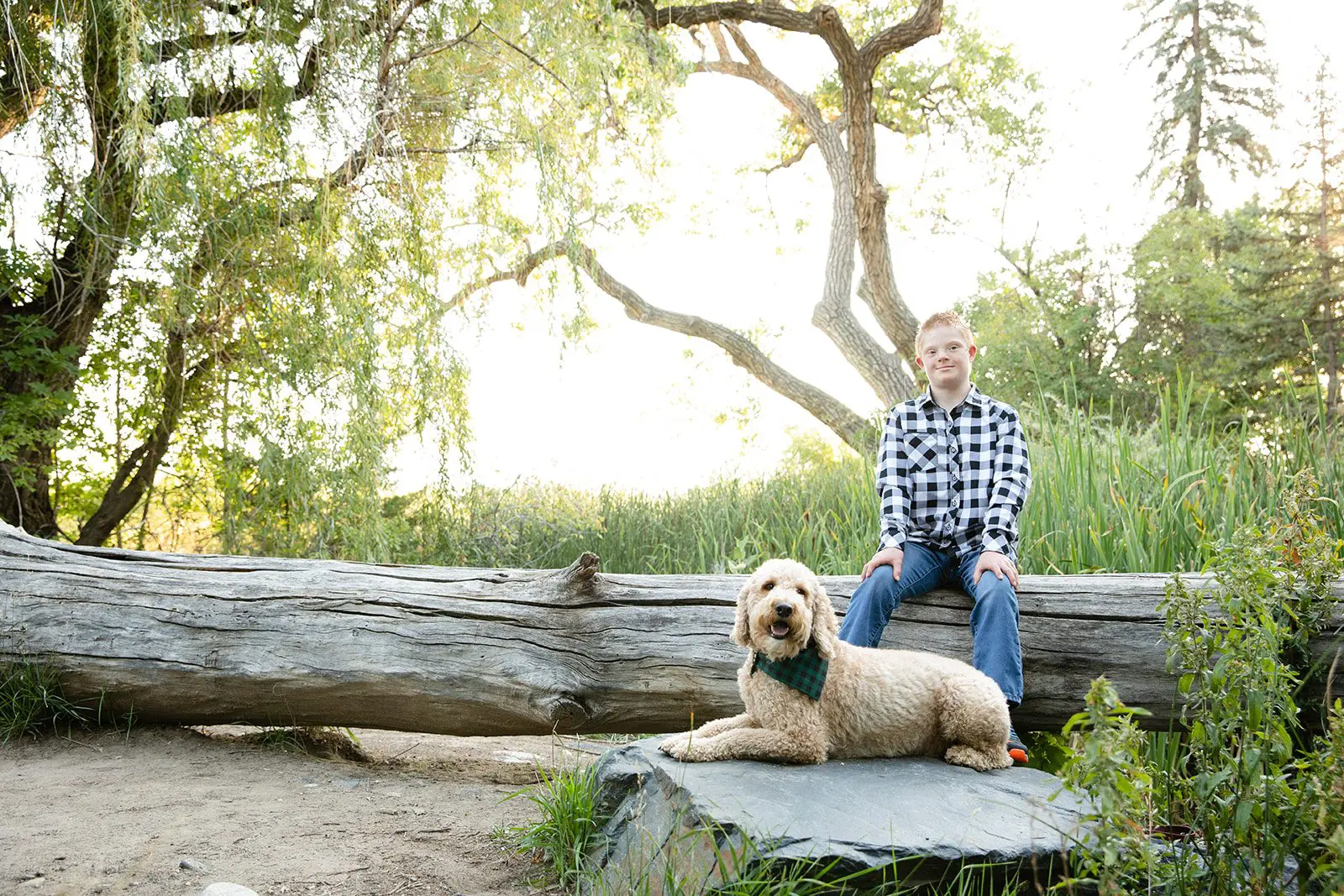 Default image for pages