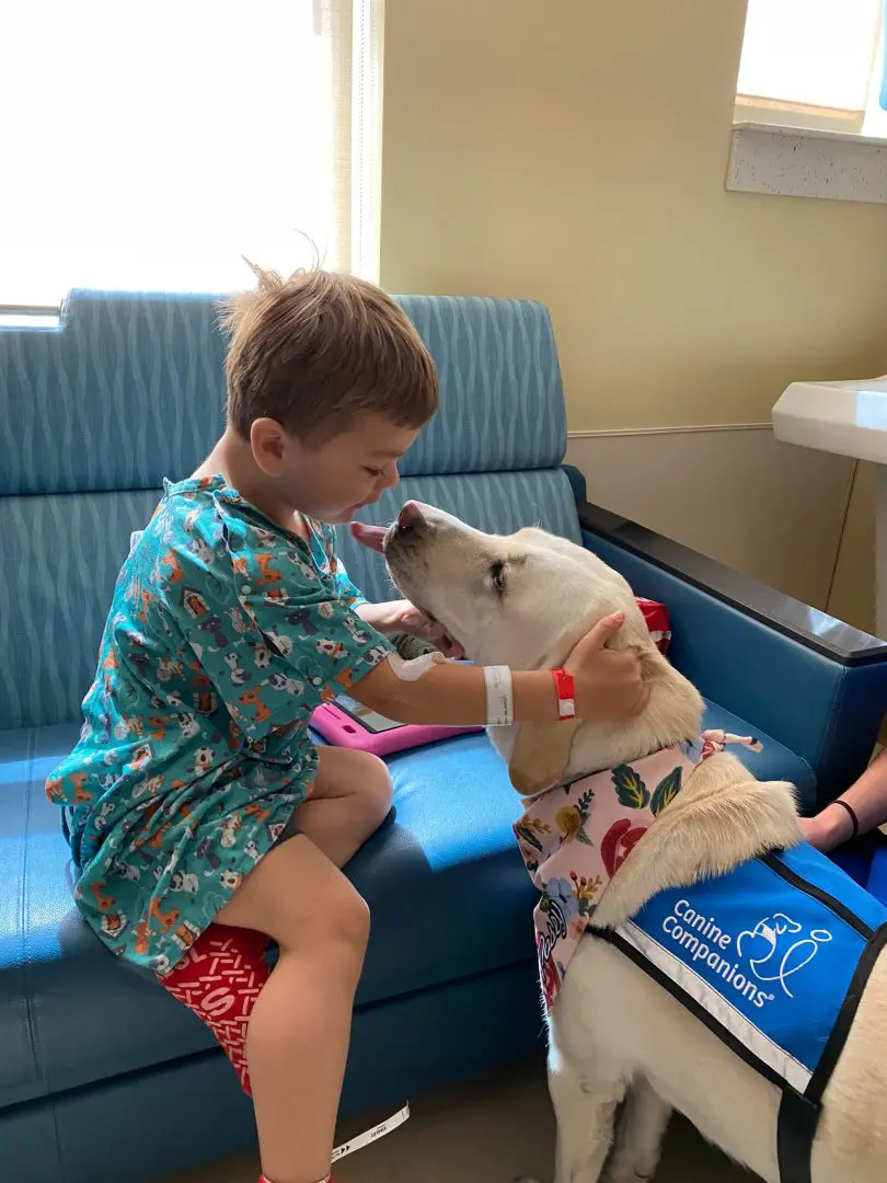 little boy in the hospital with a facility dog