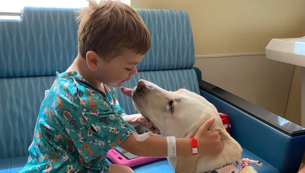 IMG_6984_Cleaned | Rocky Mountain Children's Health Foundation little boy in the hospital with a facility dog