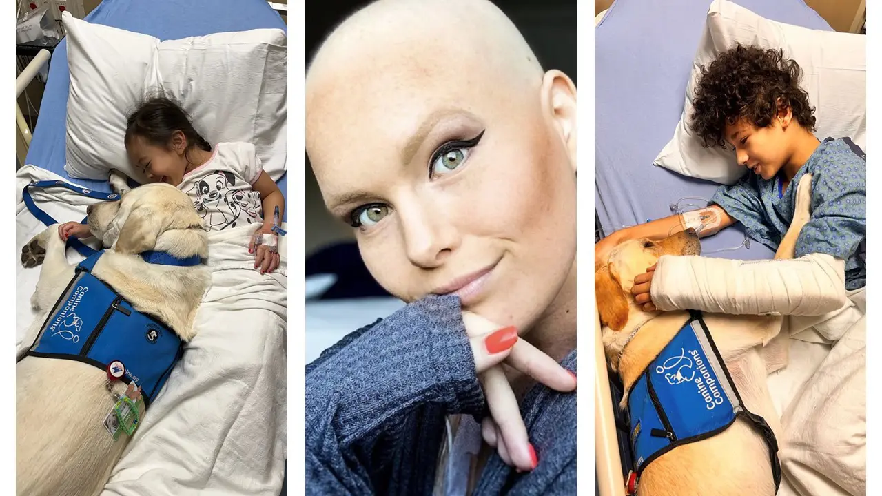 Default category image