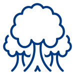 Bequests | Rocky Mountain Children's Health Foundation Blue outline of trees