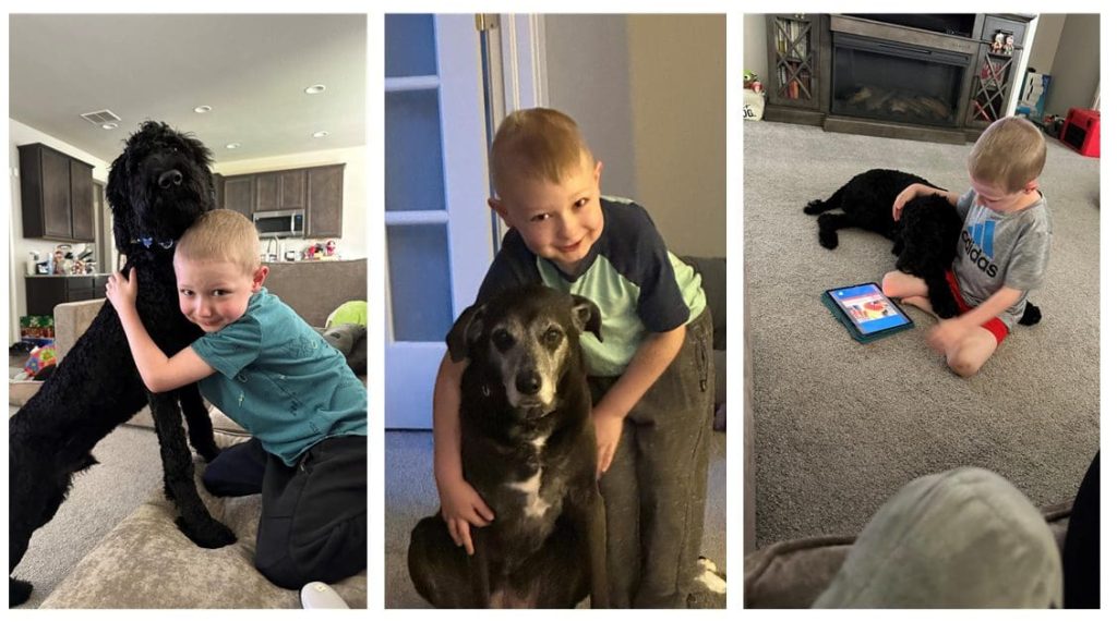Caleb_3 | Rocky Mountain Children's Health Foundation Boy hugging a tall black dog on a living room rug.