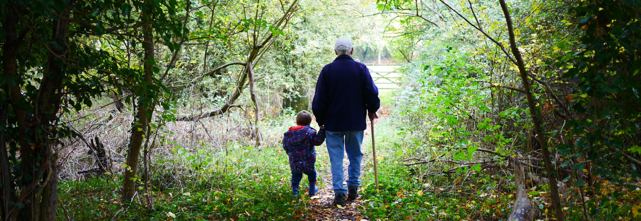 Man and child hold hands and walk in the woods