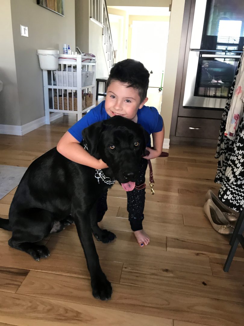 a kid and his dog